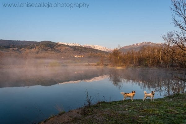 lenisecalleja.photography.gr15