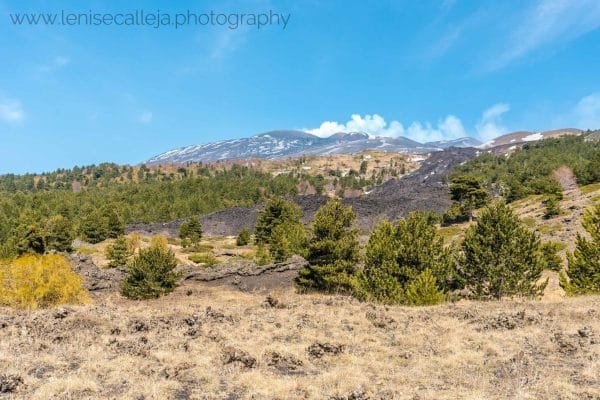 lenisecalleja.photography.it187