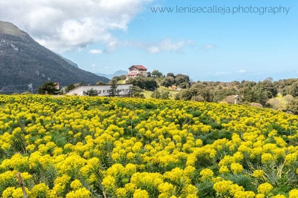 lenisecalleja.photography.it191