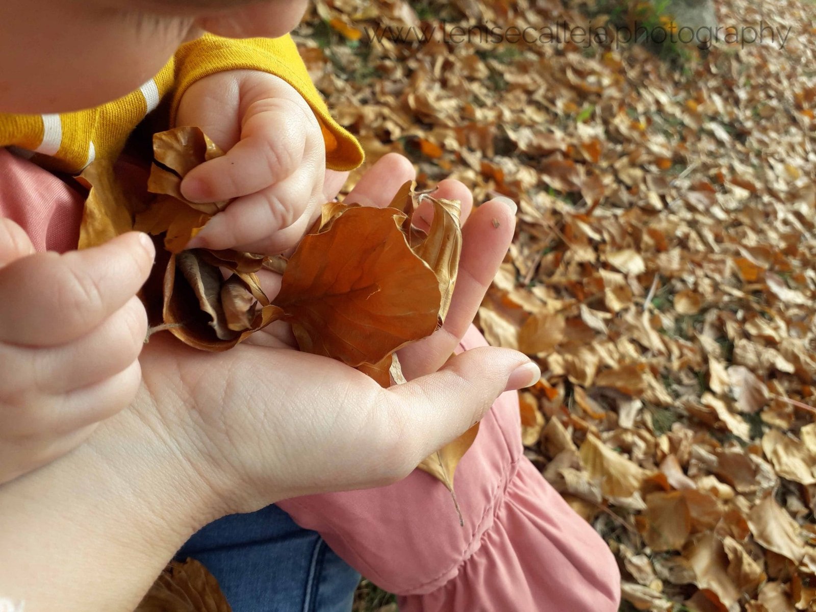 tips to travel with a baby