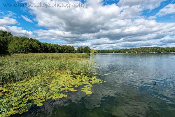lenisecalleja.photography.pl15