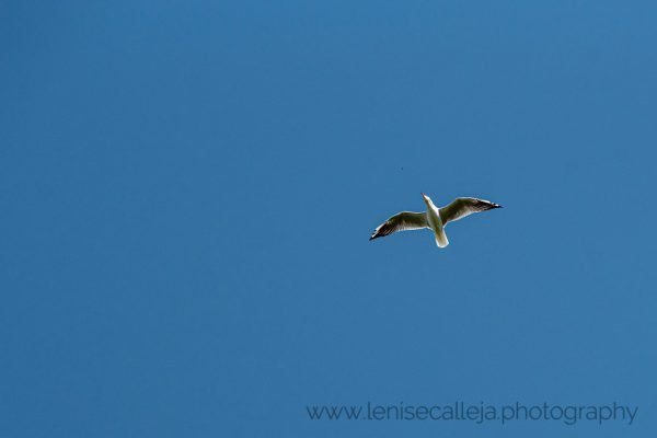 lenisecalleja.photography.pl34